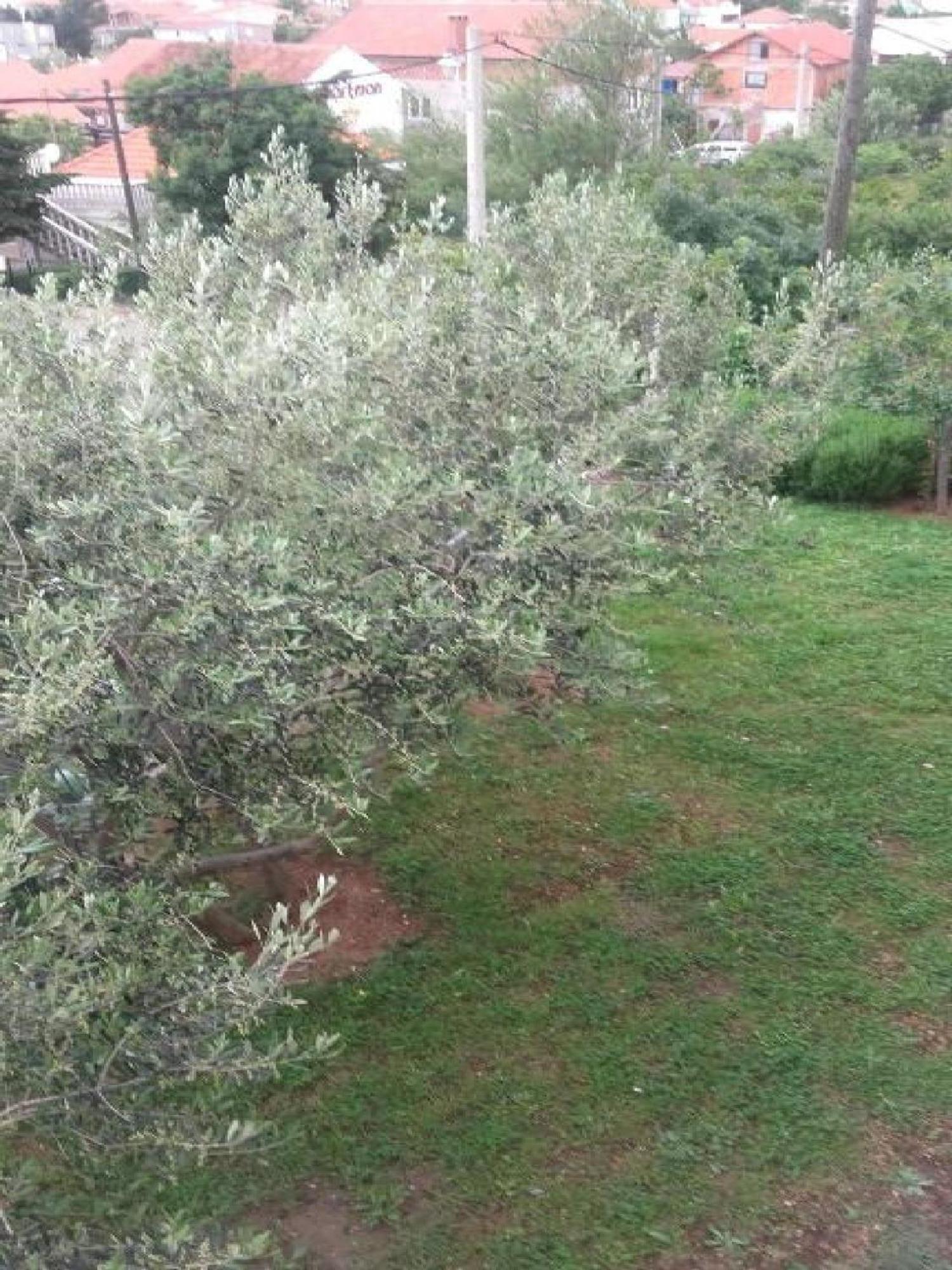 Apartments Smilje I Maslina Gornji Karin Szoba fotó